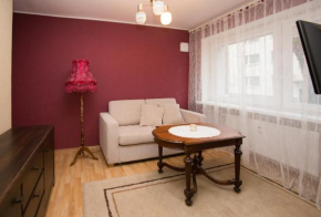 Convenient Central Apartment
